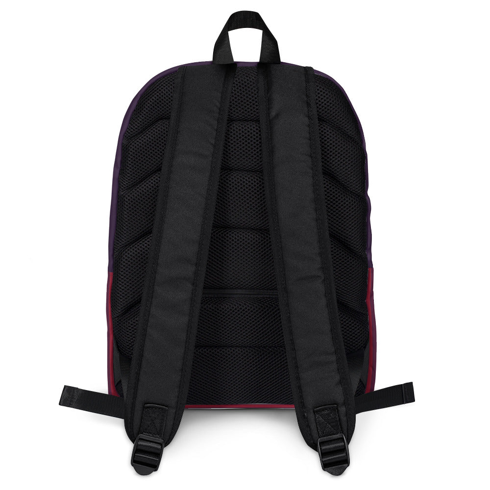 Tampa Warriors TW Seal Striped Backpack