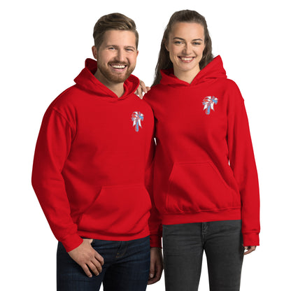 NTAA AB Baseball Seal Unisex Hoodie